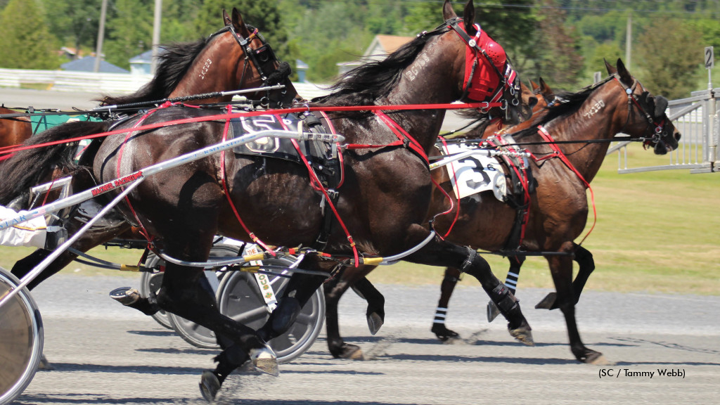 Racing action at Exhibition Park Raceway