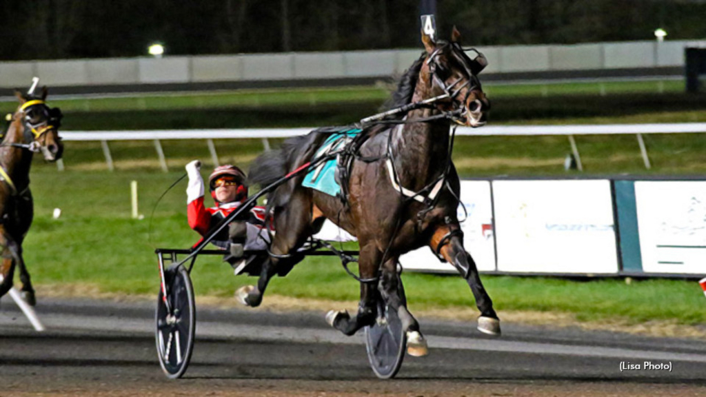 Bulldog Hanover's final start