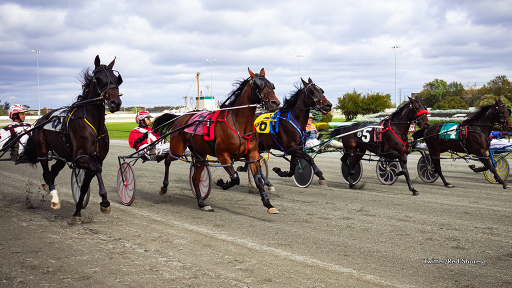 Harness Racing at Charlottetown Driving Park