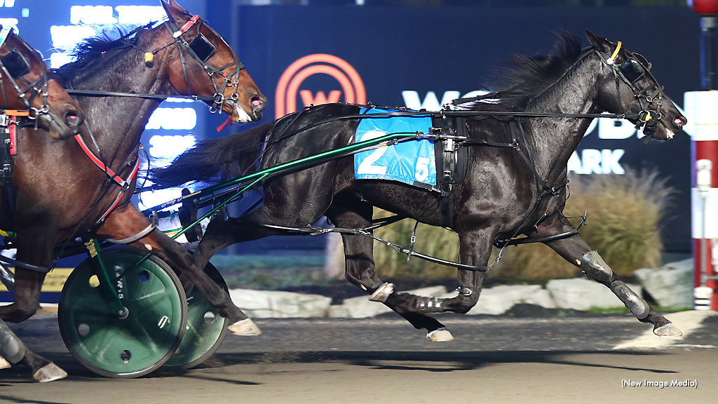 Pop-Up Series Start At Mohawk | Standardbred Canada