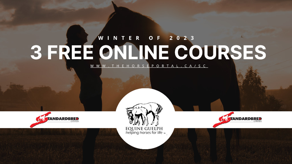 SC partners with Equine Guelph to offer three free online courses