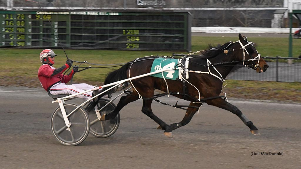 Mantario winning at Charlottetown Driving Park