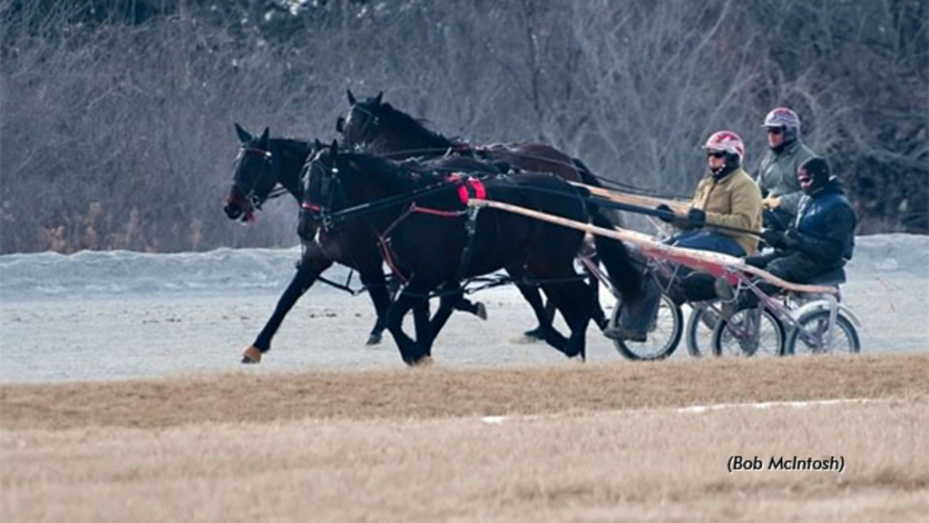 Winter Training