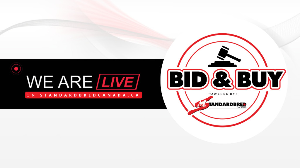 Bid & Buy is live!