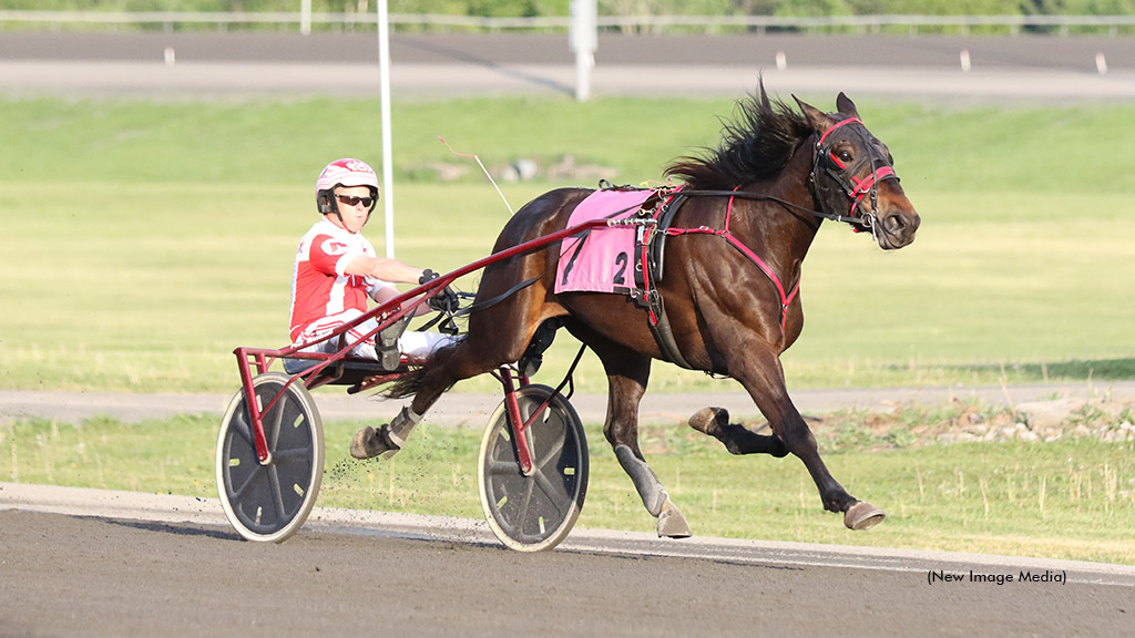 Duly Resolved winning at Woodbine Mohawk Park