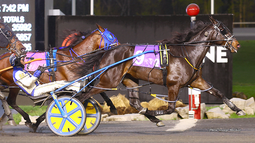 Silver Label winning at Woodbine Mohawk Park