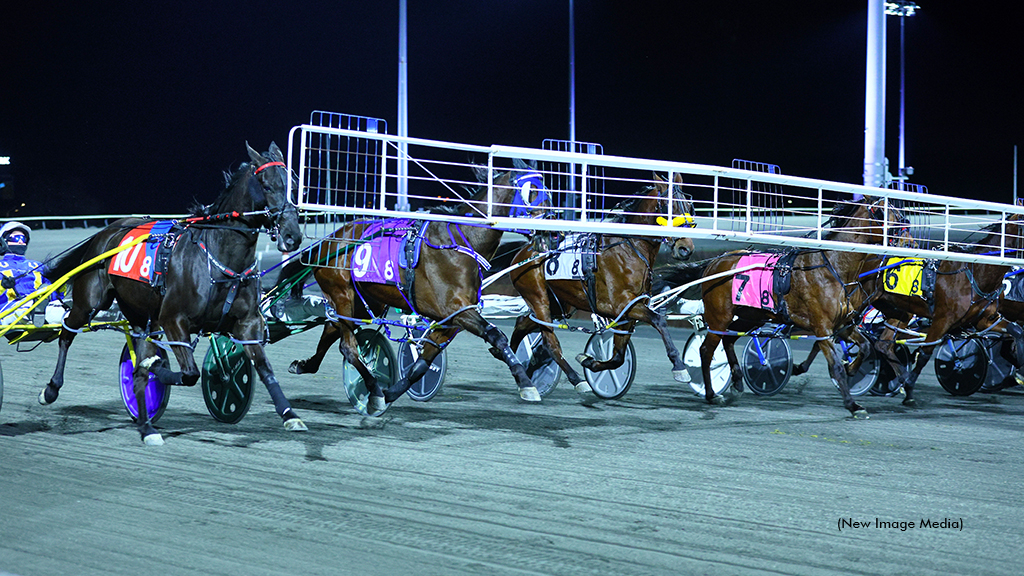 Horses behing the starting gate under the lights at Woodbine Mohawk Park
