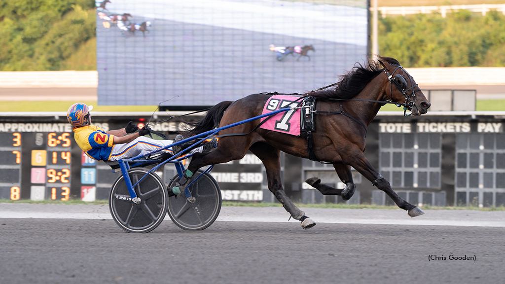 El Toro Loco winning at The Meadows