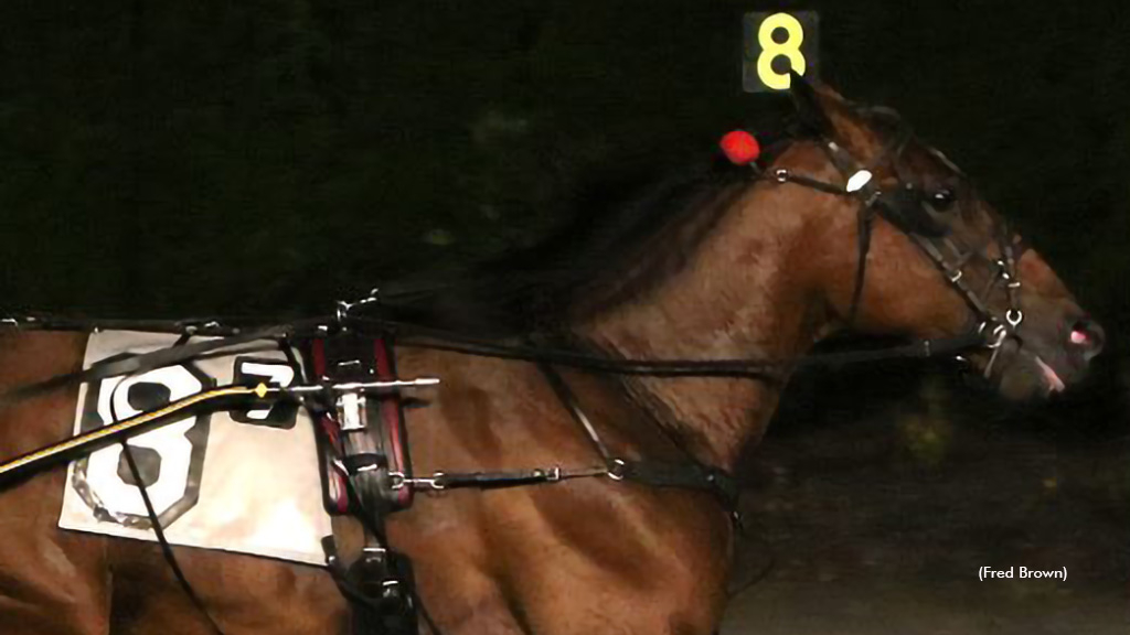 Magnifico Hanover winning at Tioga Downs