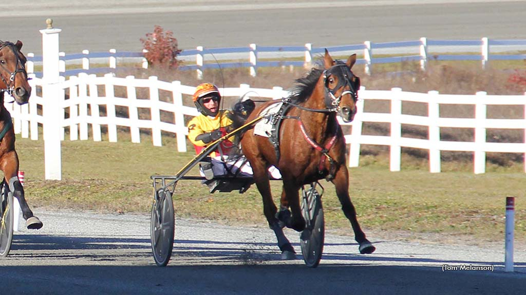 Echo De Meautis FR winning at Plainridge Park