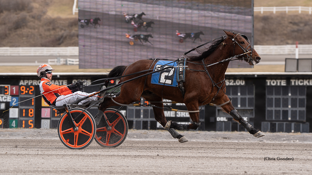 Sandbetweenmytoes winning at The Meadows