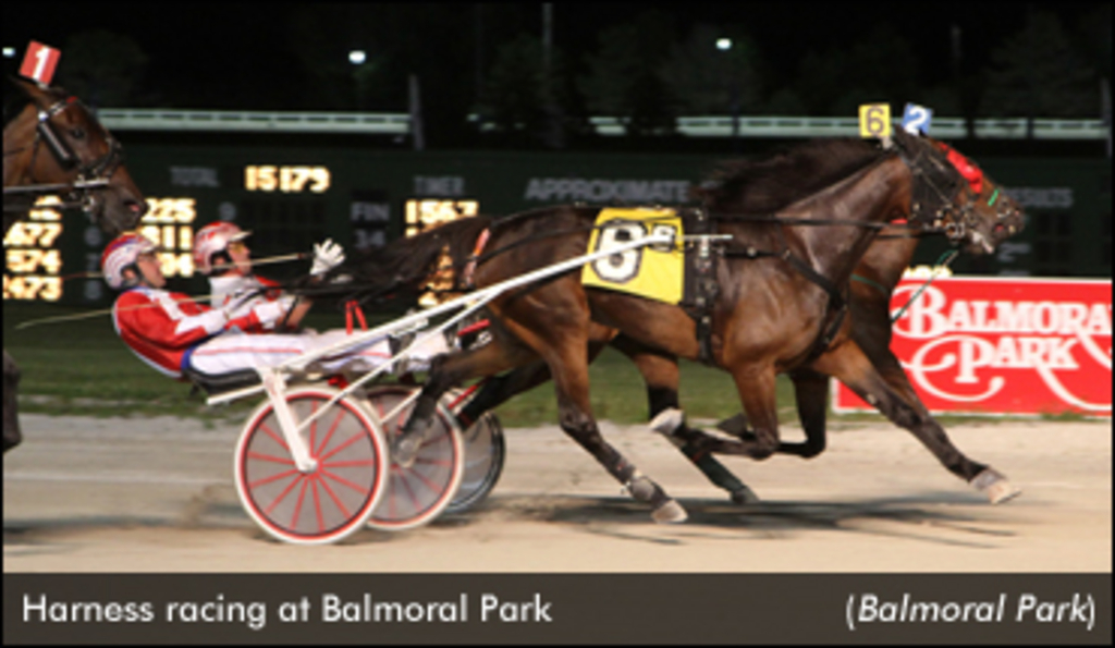 BalmoralRacing-BalmoralPark-edit.jpg