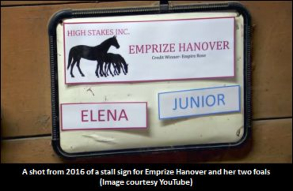 EmprizeHanover2016StallSign.jpg