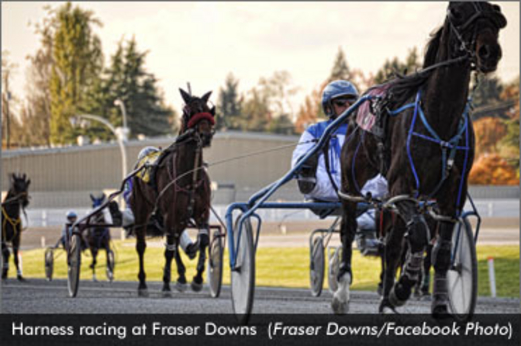 FraserDowns04.jpg