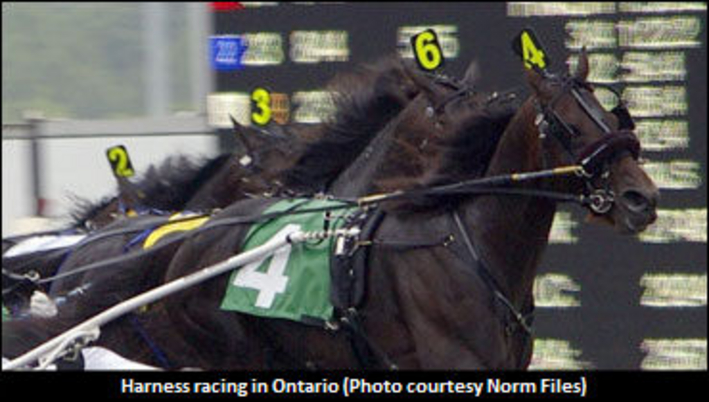 HarnessRacingInOntarioNormFiles.jpg