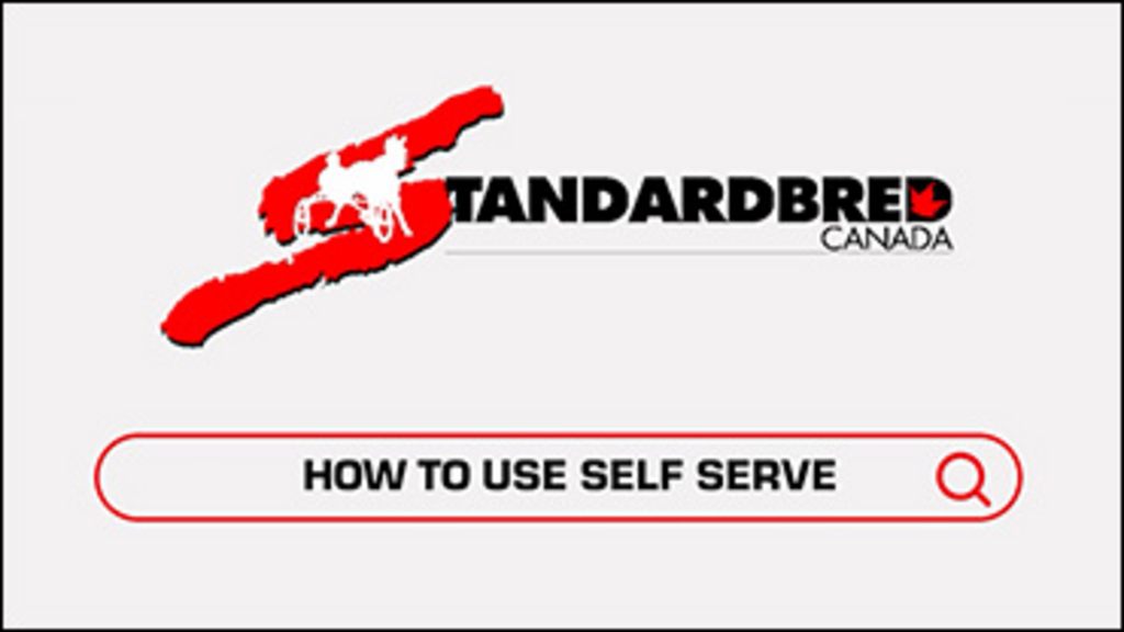 How-To-Use-Self-Serve-370px.jpg