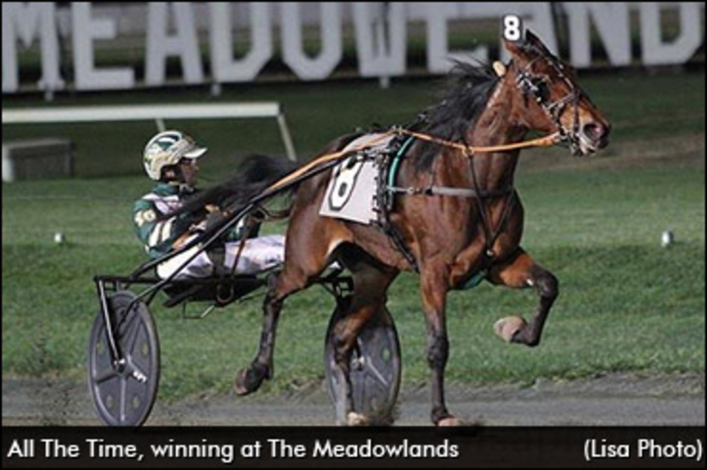 all-the-time-meadowlands-370.jpg