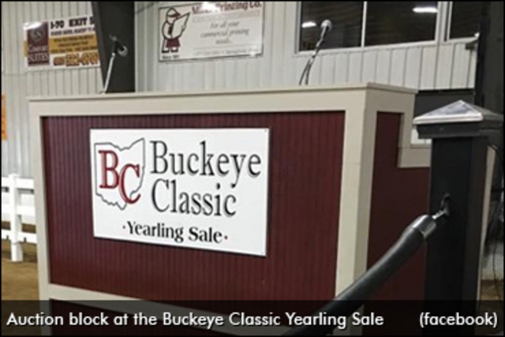 buckeye-classic-370.jpg