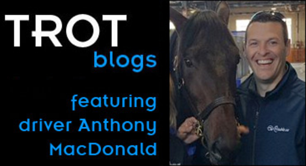 trot-blogs-anthony-macdonald-horse.jpg
