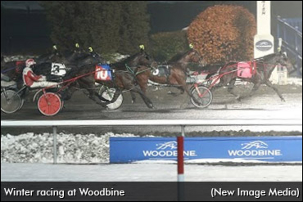 winter-racing-woodbine-370.jpg