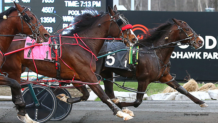 Ontop Reinman winning a division of the Ontario Sired Spring Series