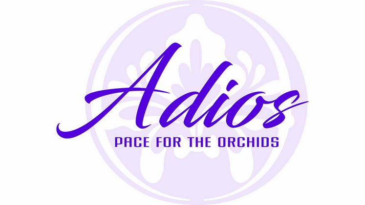 Logo for the Adios