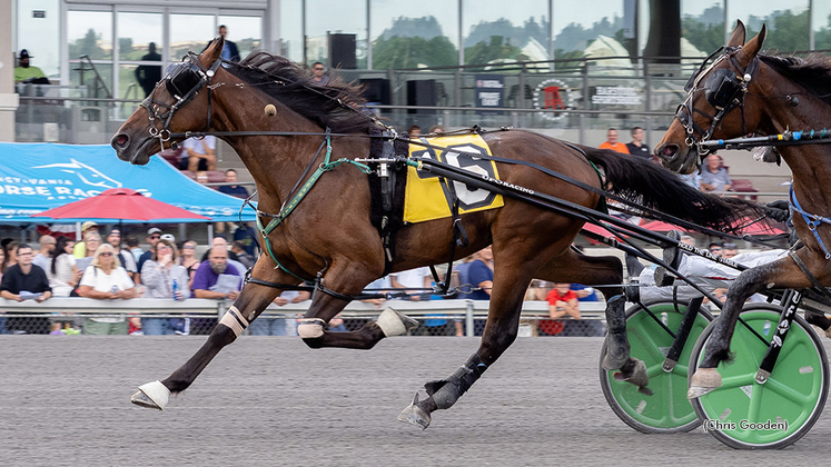 Austral Hanover winning at The Meadows