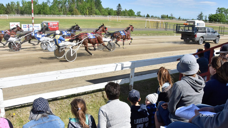 Harness racing at Nouvelle