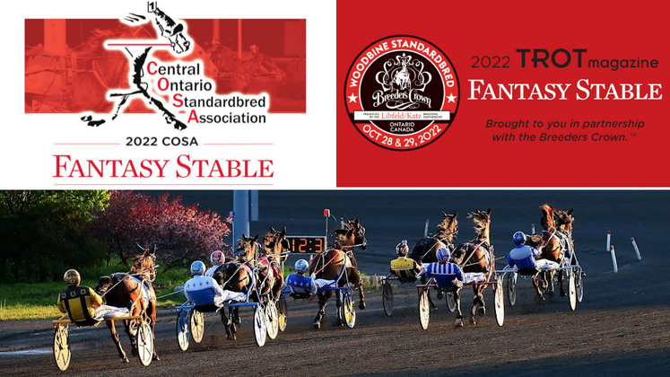 COSA and TROT Fantasy Stables