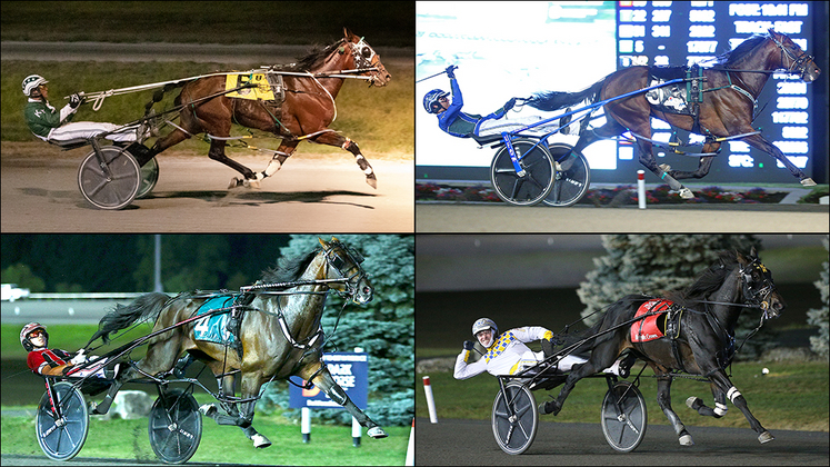 Clockwise from top left: Century Mach, Pebble Beach, King Of The North, Bulldog Hanover