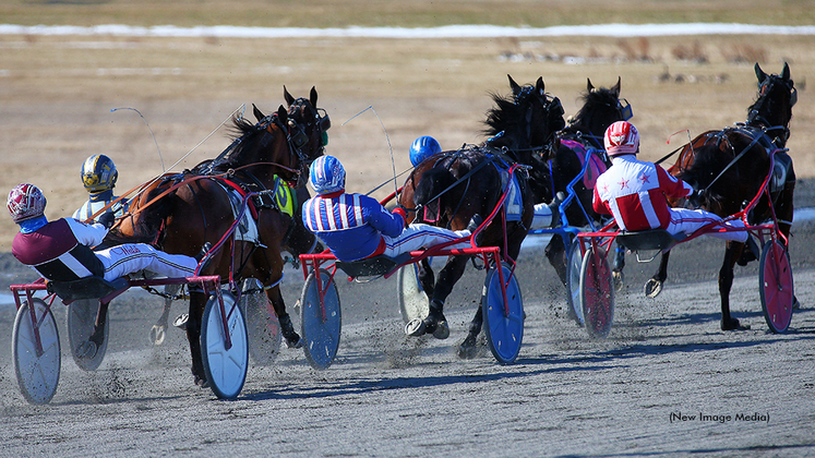 Qualifiers at Woodbine Mohawk Park