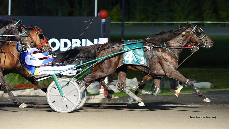 DWS Point Man winning the Ontario Sires Stakes Super Final
