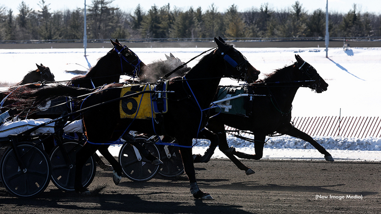 Horses qualifying in the winter at Woodbine Mohawk Park