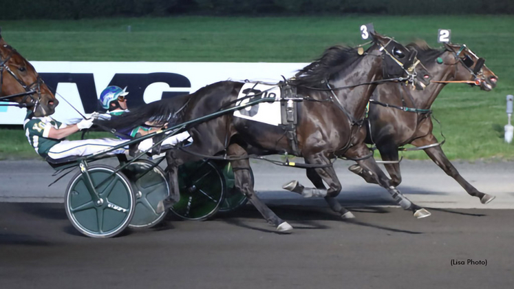 McMarkle Sparkle winning at The Meadowlands