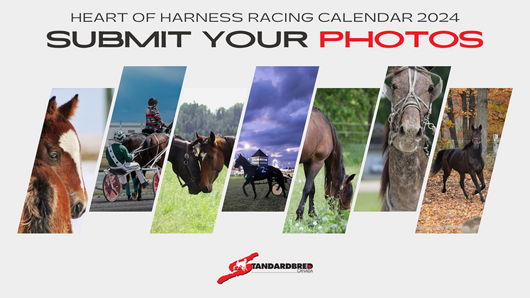 Submissions wanted for the Heart of Harness Racing Calendar