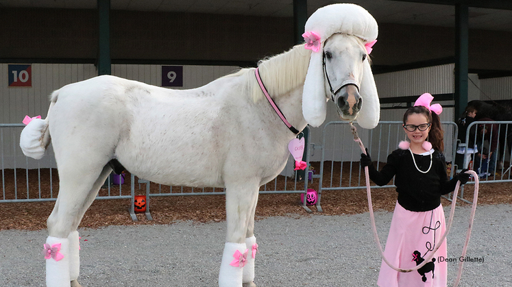 A horse dressed as a poodle for Halloween with a little girl