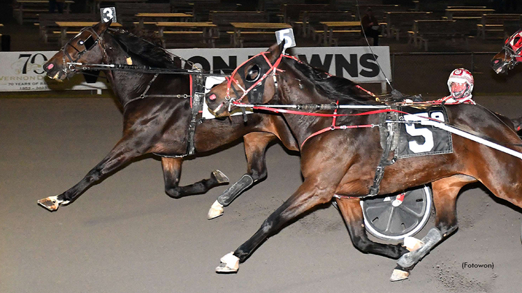 Exarch winning at Vernon Downs