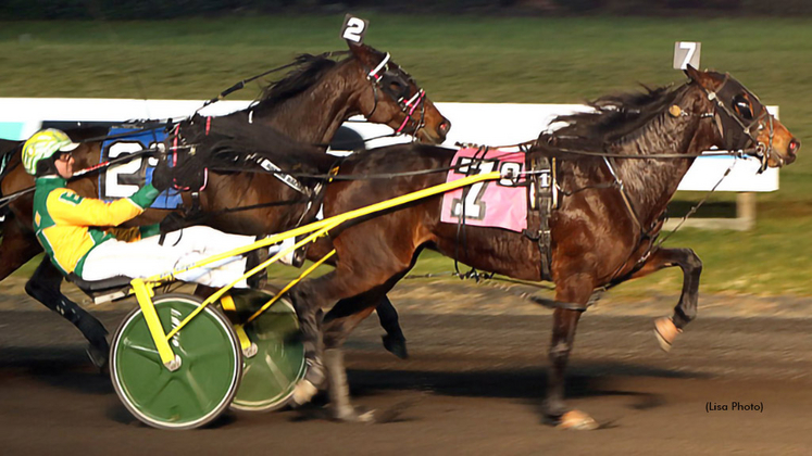 Newell Place winning at The Meadowlands