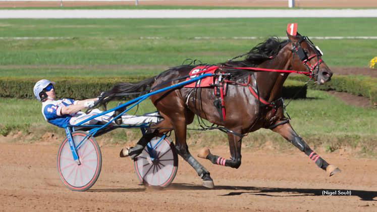 Il Sogno Dream winning at The Red Mile