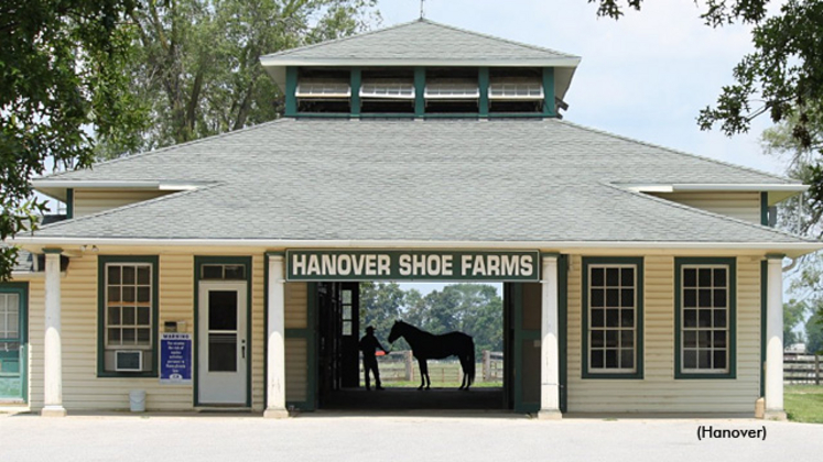 Hanover-Shoe-Farms-640px.jpg