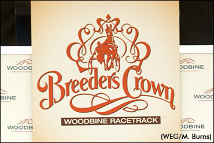 breeders-crown-woodbine-draw-370.jpg