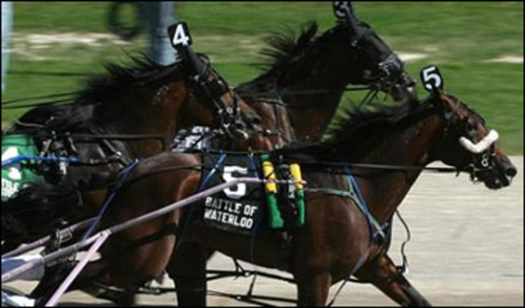 horses-racing.jpg