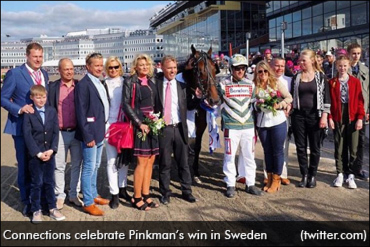 pinkman-sweden-370.jpg