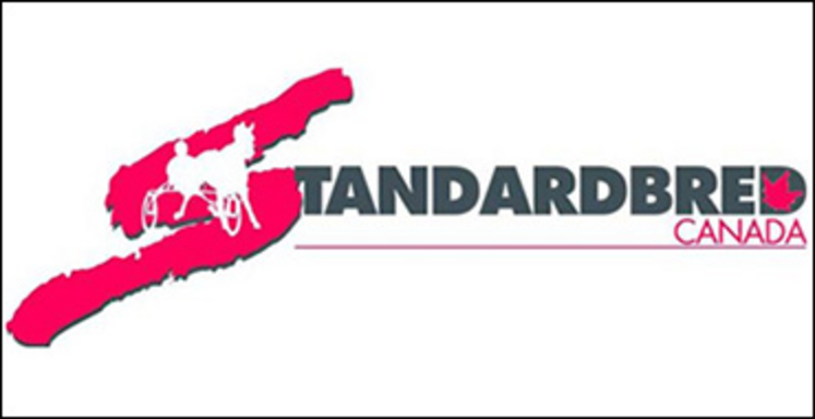 standardbred-canada-370.jpg