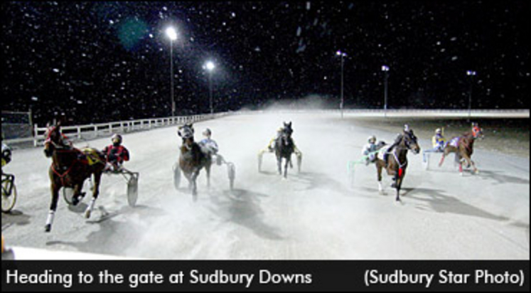 sudbury-downs-snowy.jpg